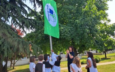 Obnova statusa Ekoškole