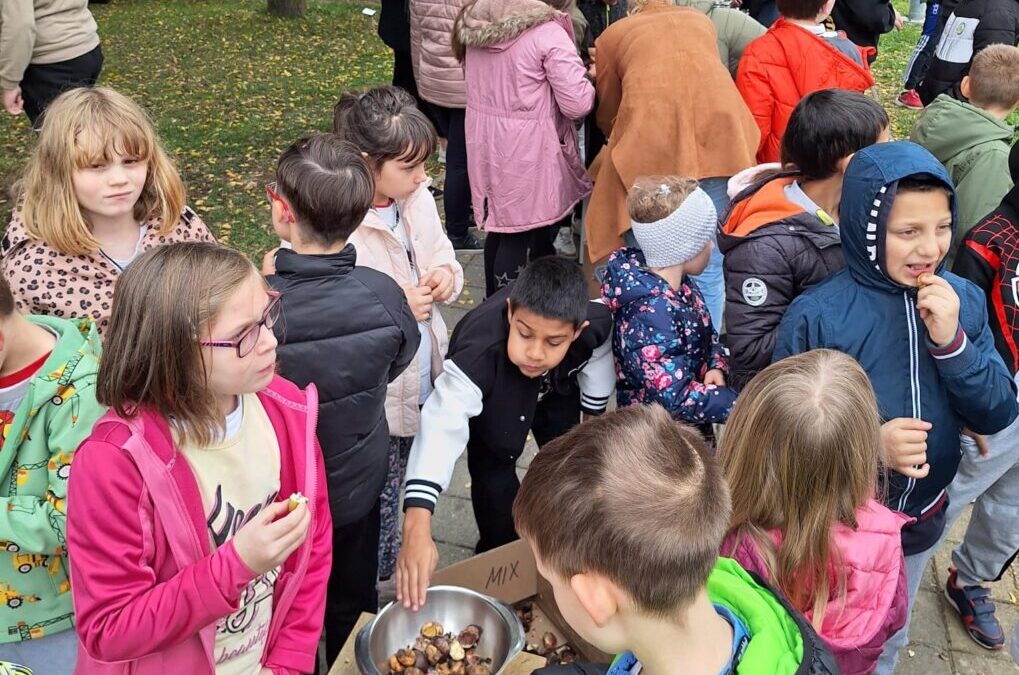 Kestenijada u našem Centru