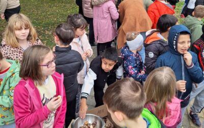 Kestenijada u našem Centru