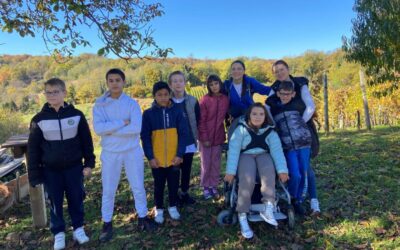 Druženje u vinogradu